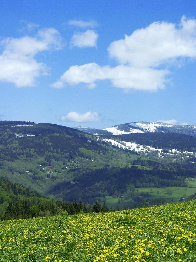 Wellness Hotel V Nebi Kořenov Eksteriør billede